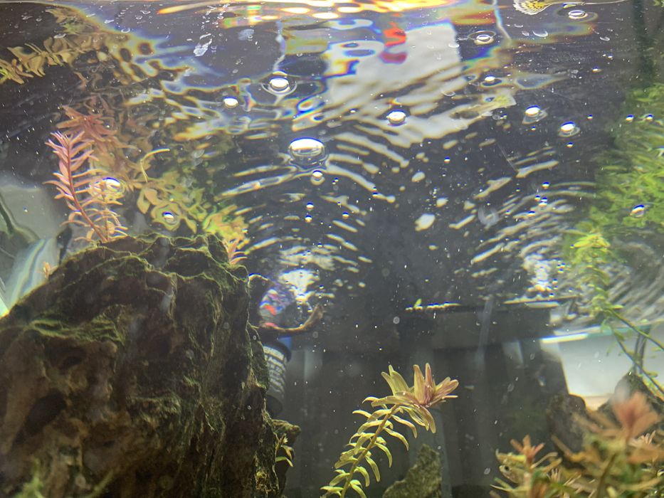 Calha de iluminação aquario 60cm