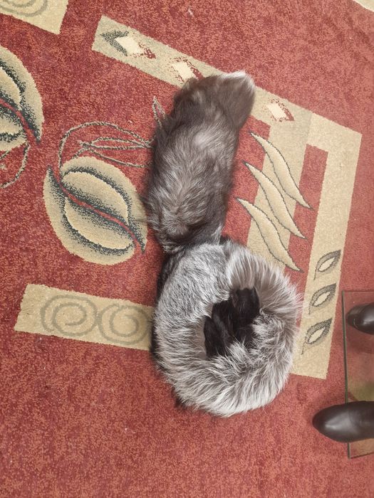 Piekna czapka z lisa tzw kaszkiet z ogonem !!!