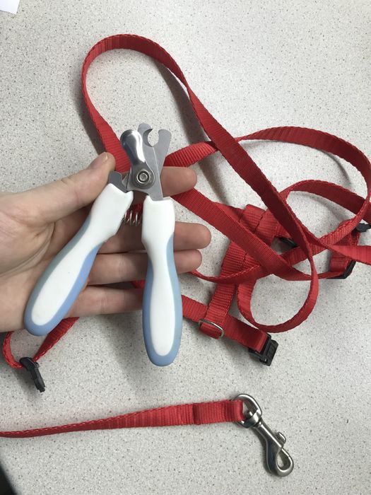 Переноска для улюбленців