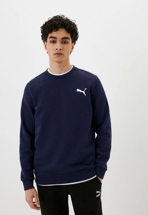 Чоловічий світшот Puma Essentials Small Logo