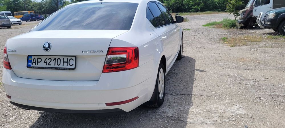 Skoda Octavia 2019