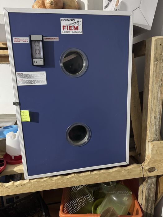 Incubadora proficional fiem 120 ovos de galinha