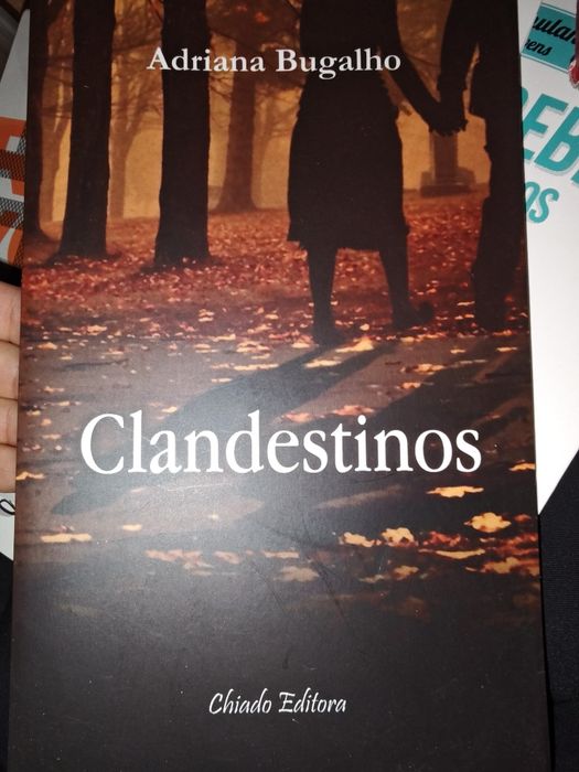 Livros novos vários