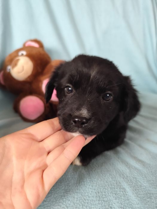 Tylko do właściwego domu