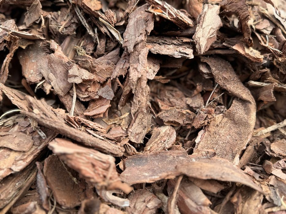 Kora sosnowa ozdobna do ogrodu