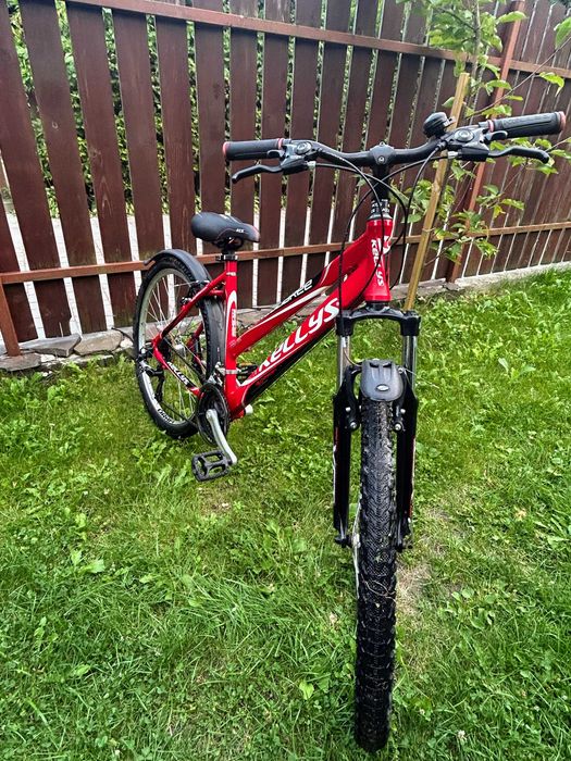 Rower damski KELLYS Colibree