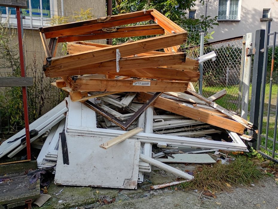 drzewo do wykorzystania