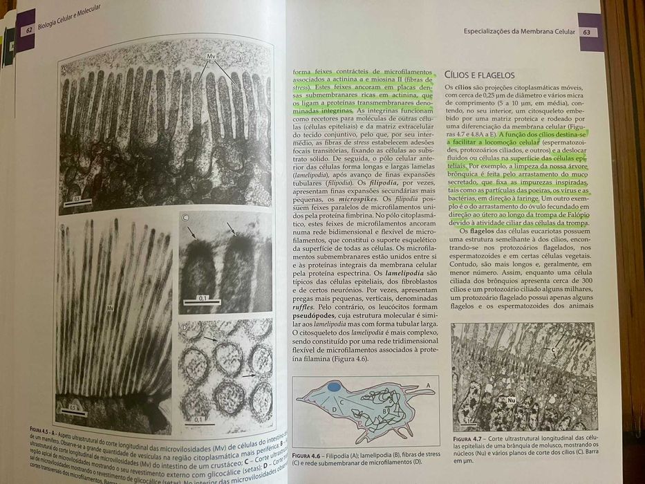 Biologia Celular e Molecular, 5ª Edição
