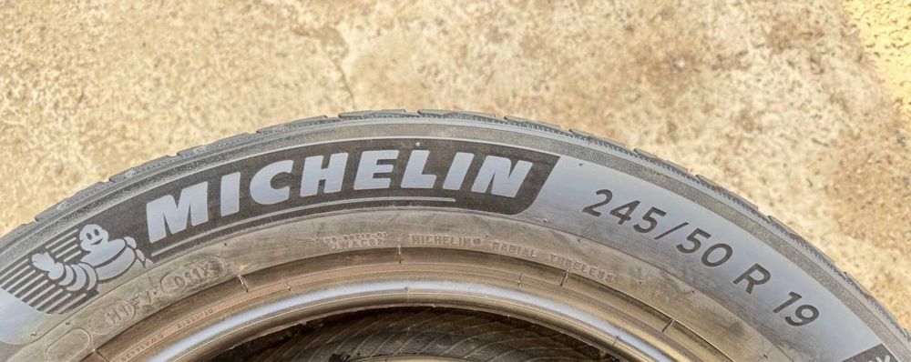 Зимові шини 245 50 R19 Michelin