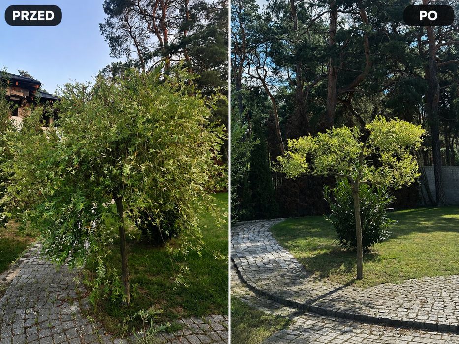 Ogrodnik Nakło nad Notecią – pielęgnacja, rabaty, nasadzenia