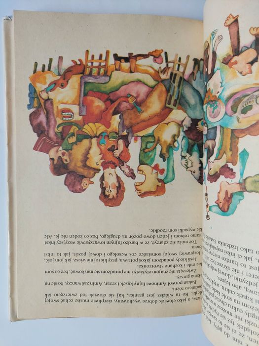 Bery i bojki śląskie - Stanisław Ligoń