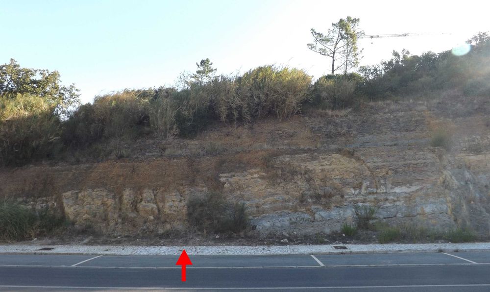 Terreno para construçao com projeto aprovado Almargem do Bispo
