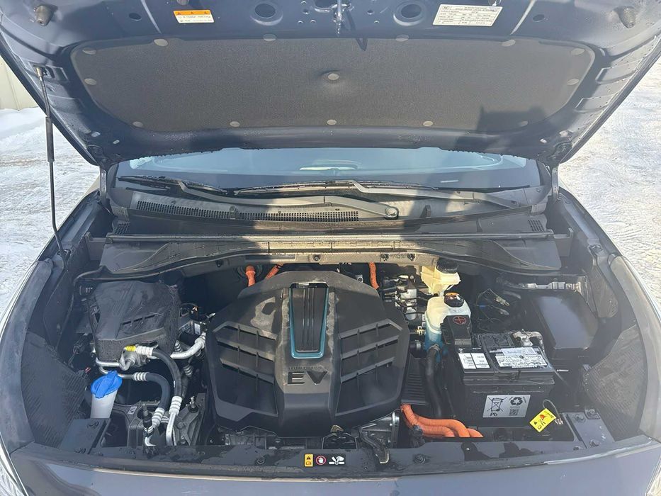 Kia e-Niro      2020