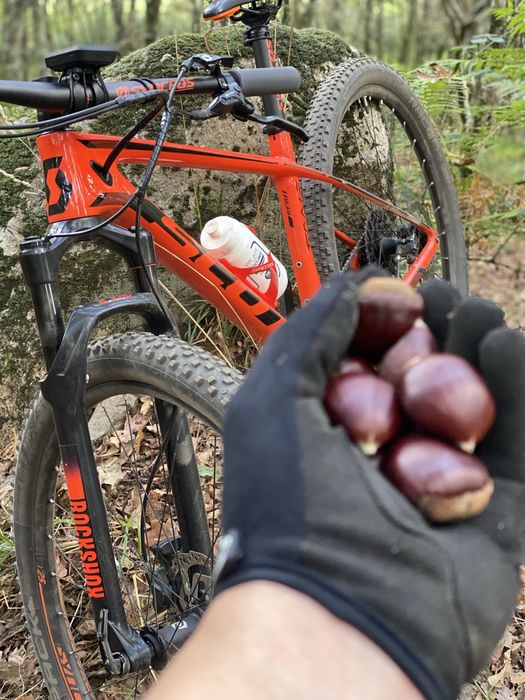 Scott Scale 935 carbono