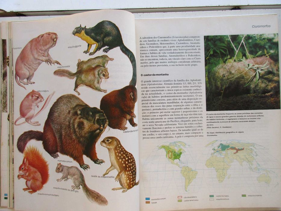 Os Animais - - - - - - - - Enciclopédia