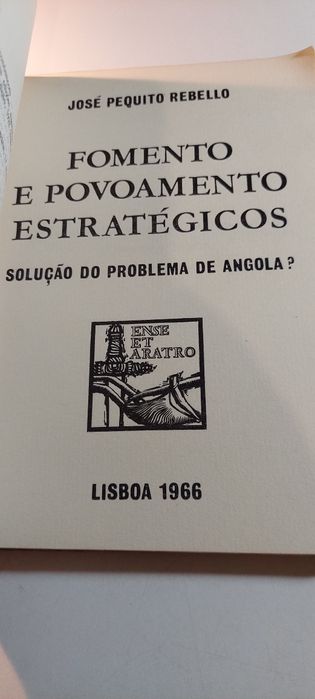 Fomento e Povoamento Estratégicos, Solução do Problema de Angola