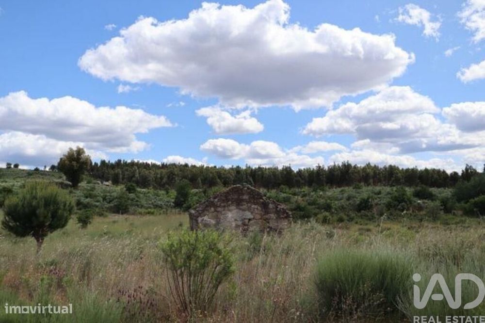 Terreno para construção em Seixo da Beira de 48000,00 m2