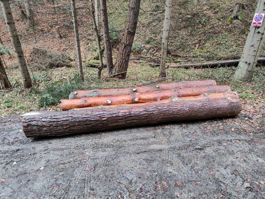 Sosna dłużyca, tartaczne w klocu, drewno  2m³ za 350zł