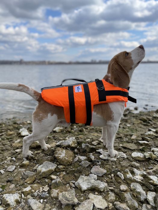 Спасательный рятувальний жилет для собаки