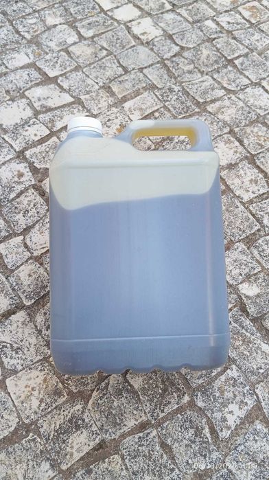 Azeite Virgem Extra, Ribatejo — Colheita 2025