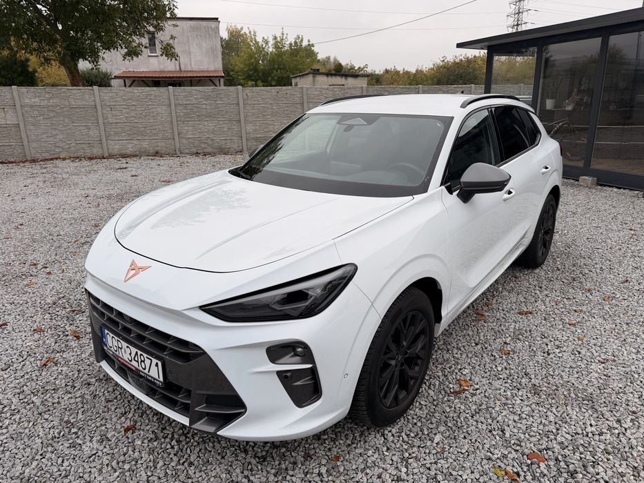 Cupra Terramar