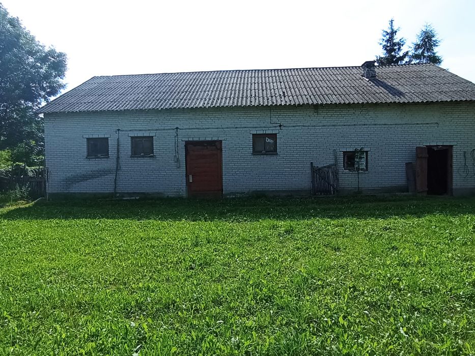 Zdjęcie 4