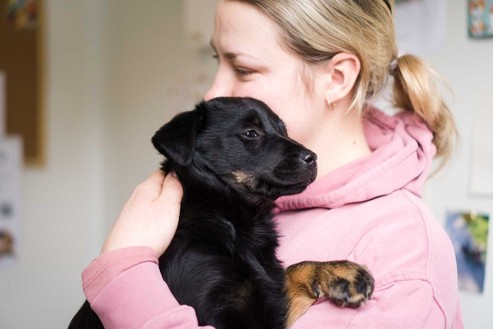 Szczeniak szuka domu!