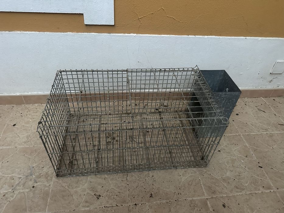 Gaiolas coelhos