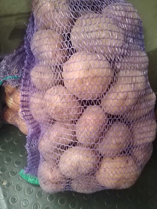 Продам картоплю домашню