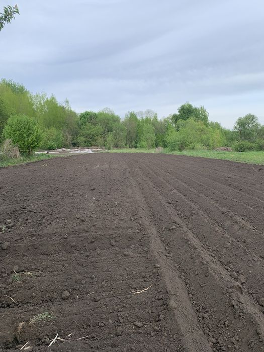 Продаж дачної ділянки під дачу або забудову