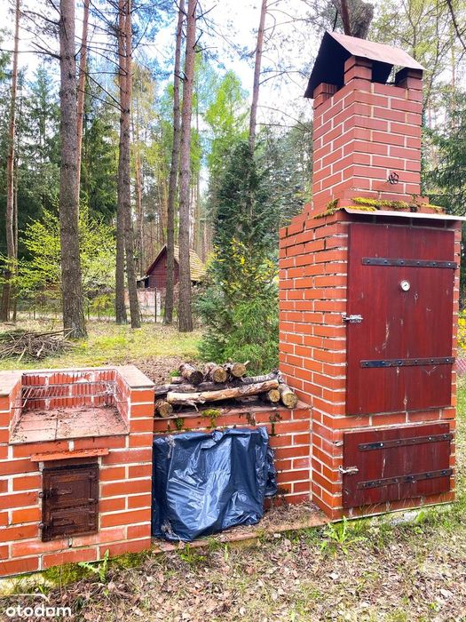 Twoje miejsce w sercu natury – działka w Rokitnicy! - Widok 5