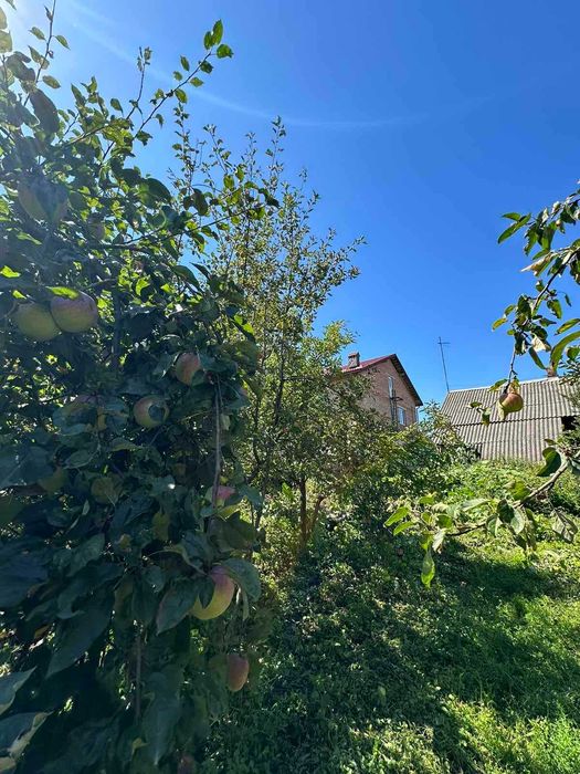 Продаж земельної ділянки із старим будинком  в с.Виннички.