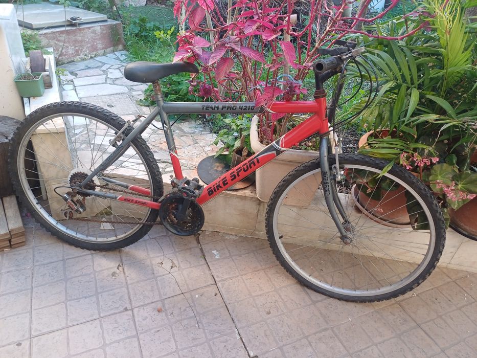 Bicicleta adulto