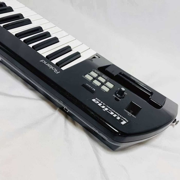 Roland Lucina AX-09 - синтезатор кейтар (keytar, расческа) +сумка