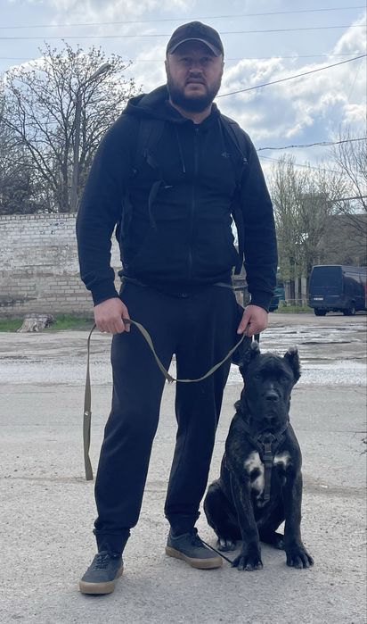 Дрессировка собак от 300 гр Заводской район,выезд цена договорная