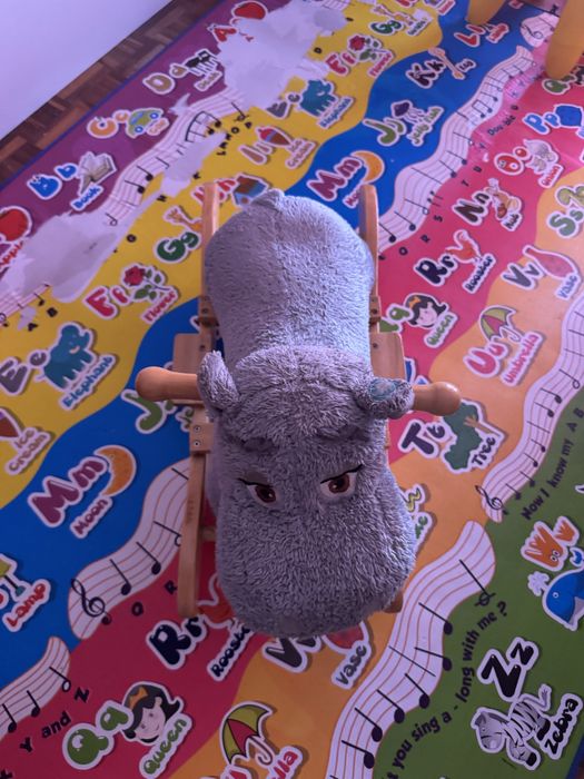 hipopótamo  baloico