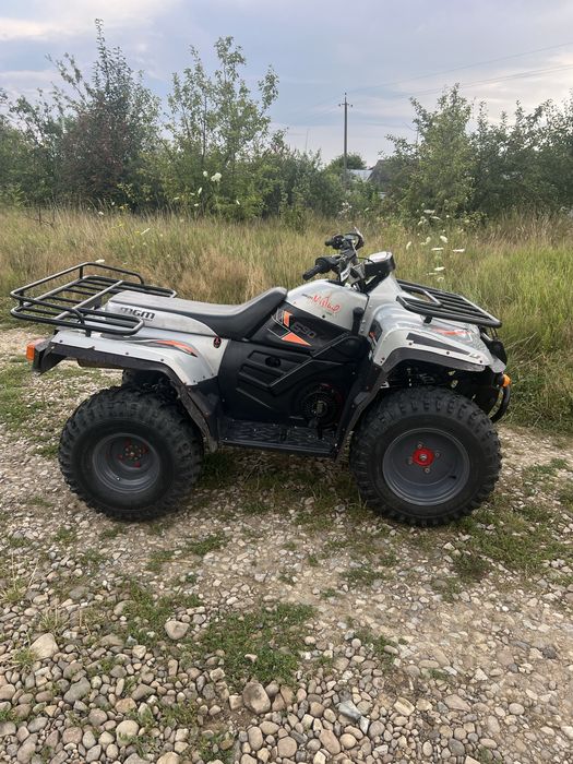 Квадроцикл MGM Giorgi S630 ATV, BRP.