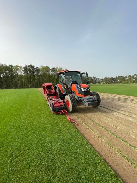 Trawa z rolki, rolka trawy, trawa rolowana, trawnik, producent