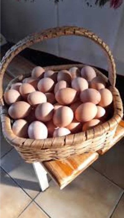 Vendo ovos caseiros
