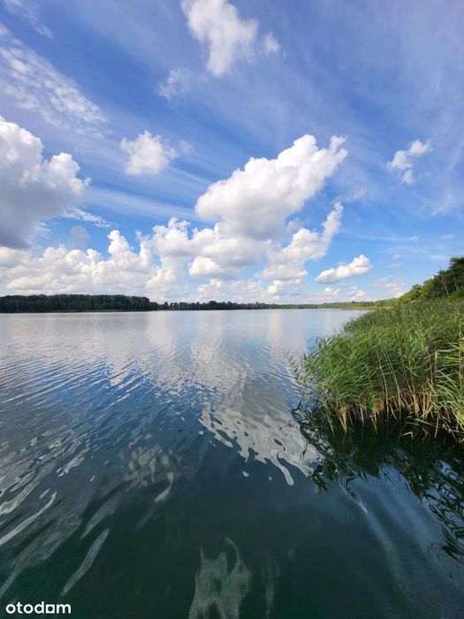 Działka 3700m² z mediami w spokojnej okolicy