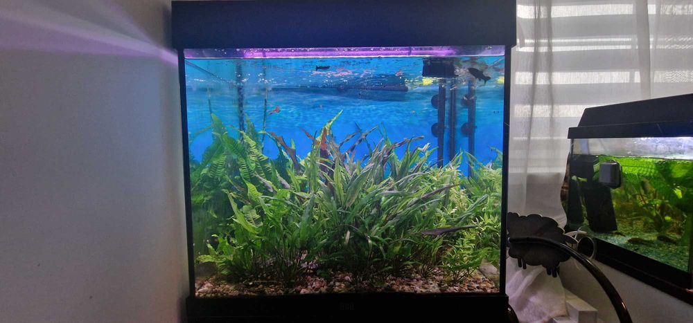 Akwarium Juwel 120 litrów komplet z szafką stan bdb + życie