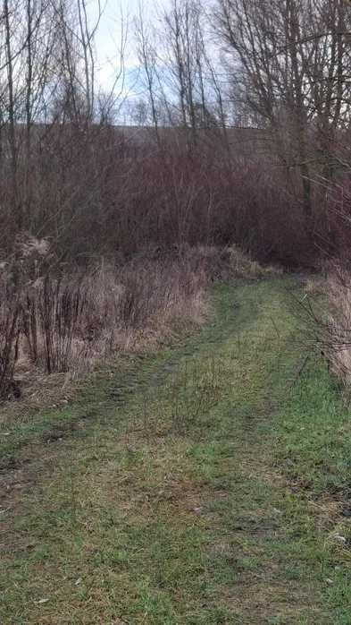 Продам ділянку під базу відпочинку Передмістя Василькова 17Га