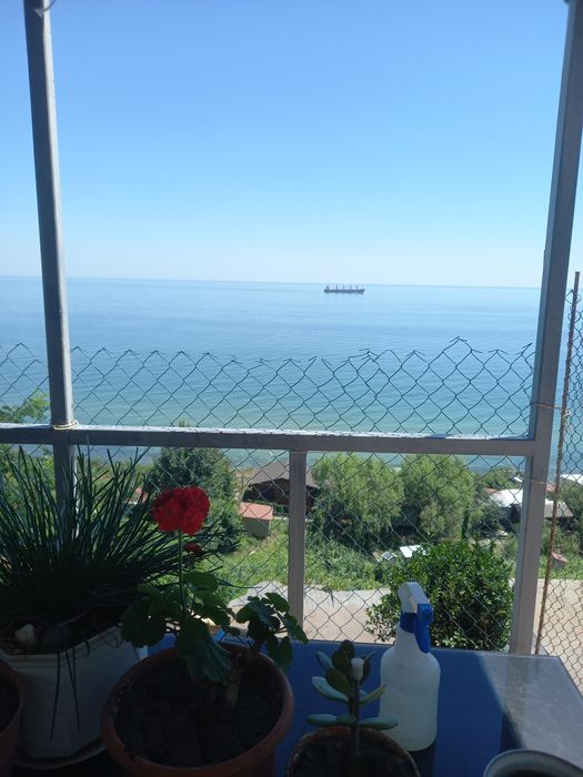 Аренда дома у моря