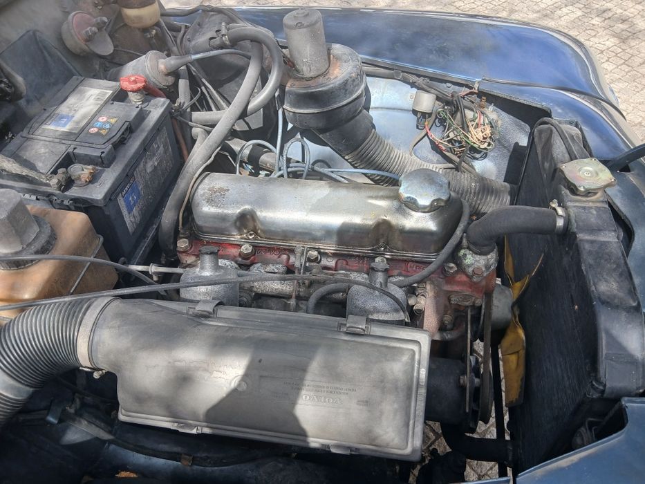Volvo P544 Sport Mareco