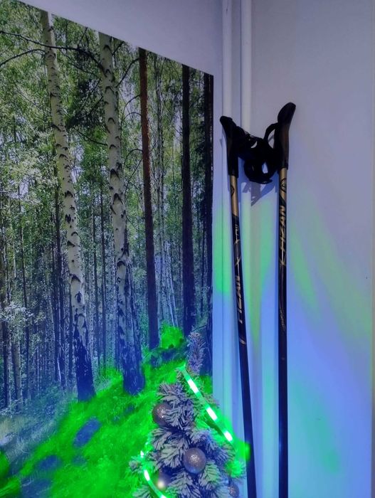 kijki nordic walking fizan carbon 110