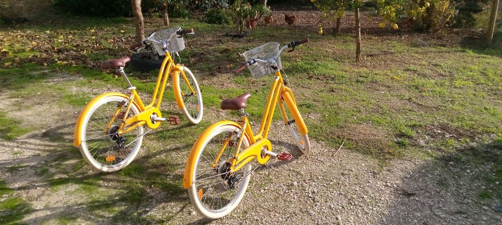 Duas bicicletas em ótimo estado