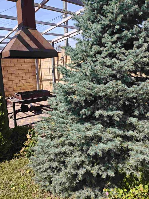 Будинок за адресою Люстдорфська дор. (площа 134 м²) - Atlanta.ua - фото 8