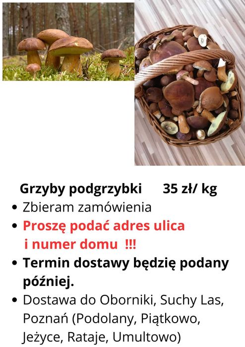 Grzyby podgrzybki 35 zł /kg