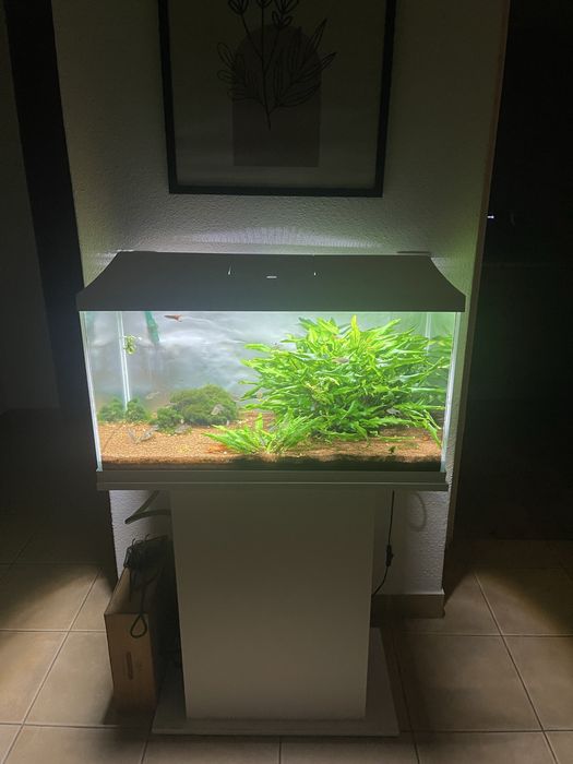 Aquario Aquael com movel 112L