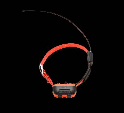 CANICOM GPS 2 – dodatkowa obroża